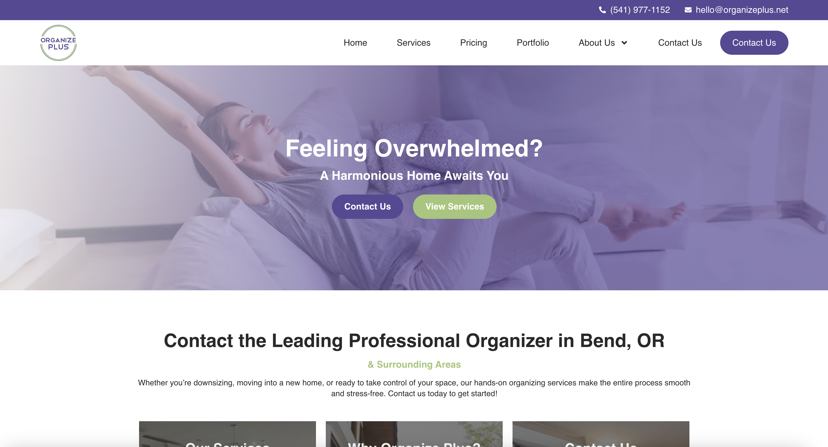 Organize Plus website design