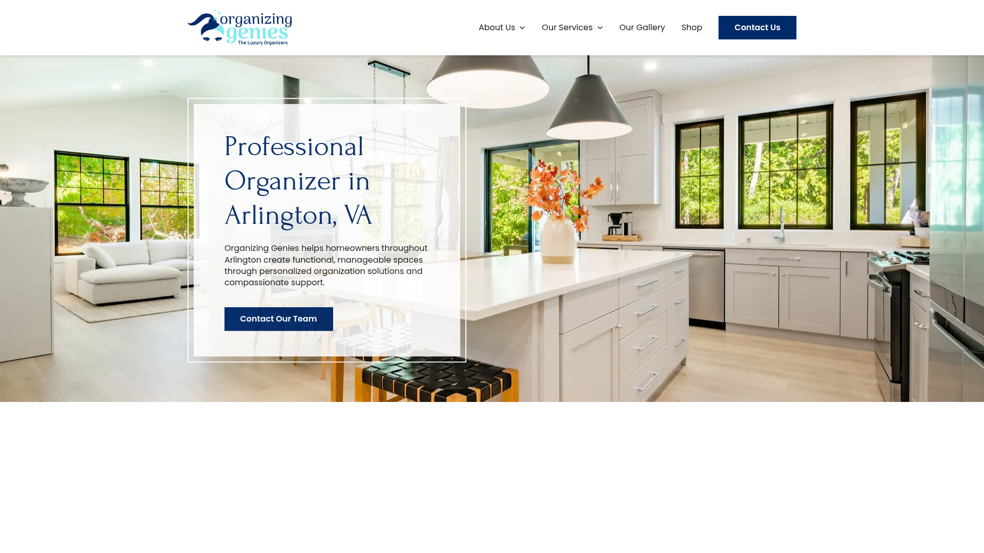 Organizing Genies Arlington professional organizer service-area page
