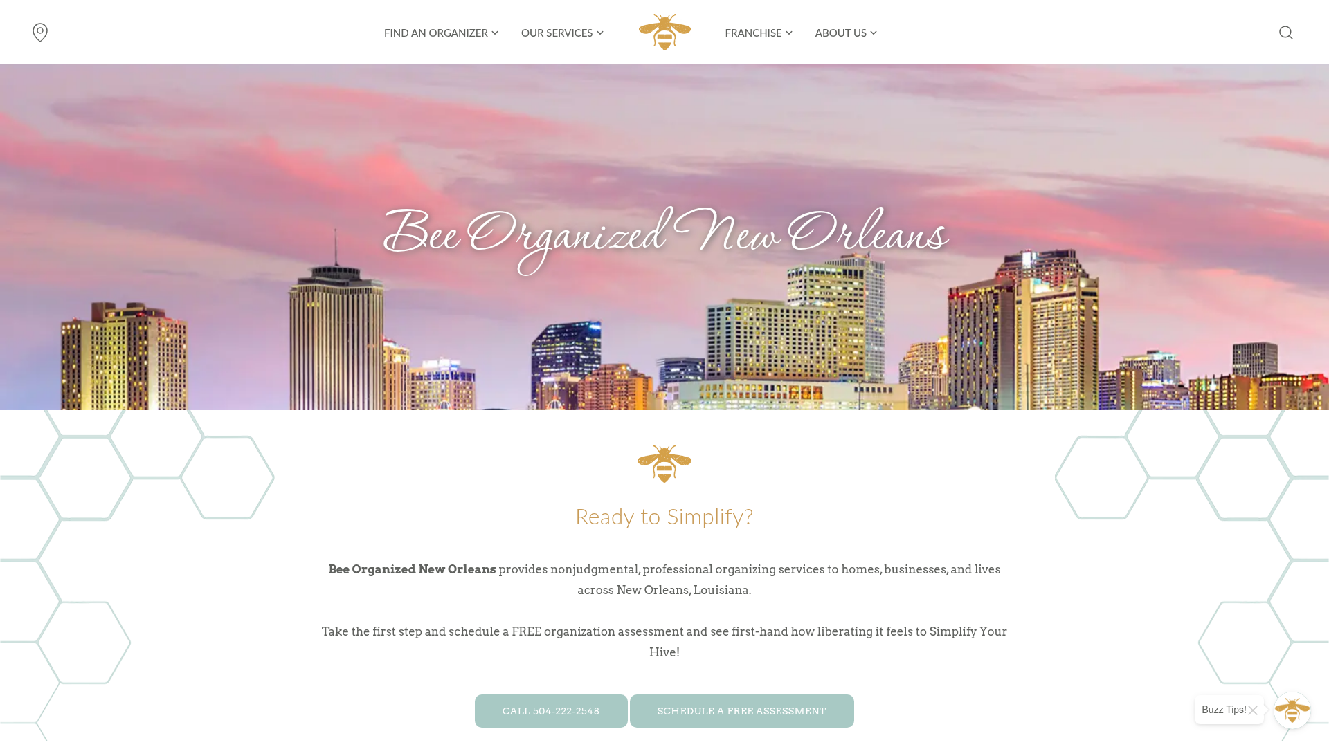 Bee Organized New Orleans website page over a New Orleans skyline banner
