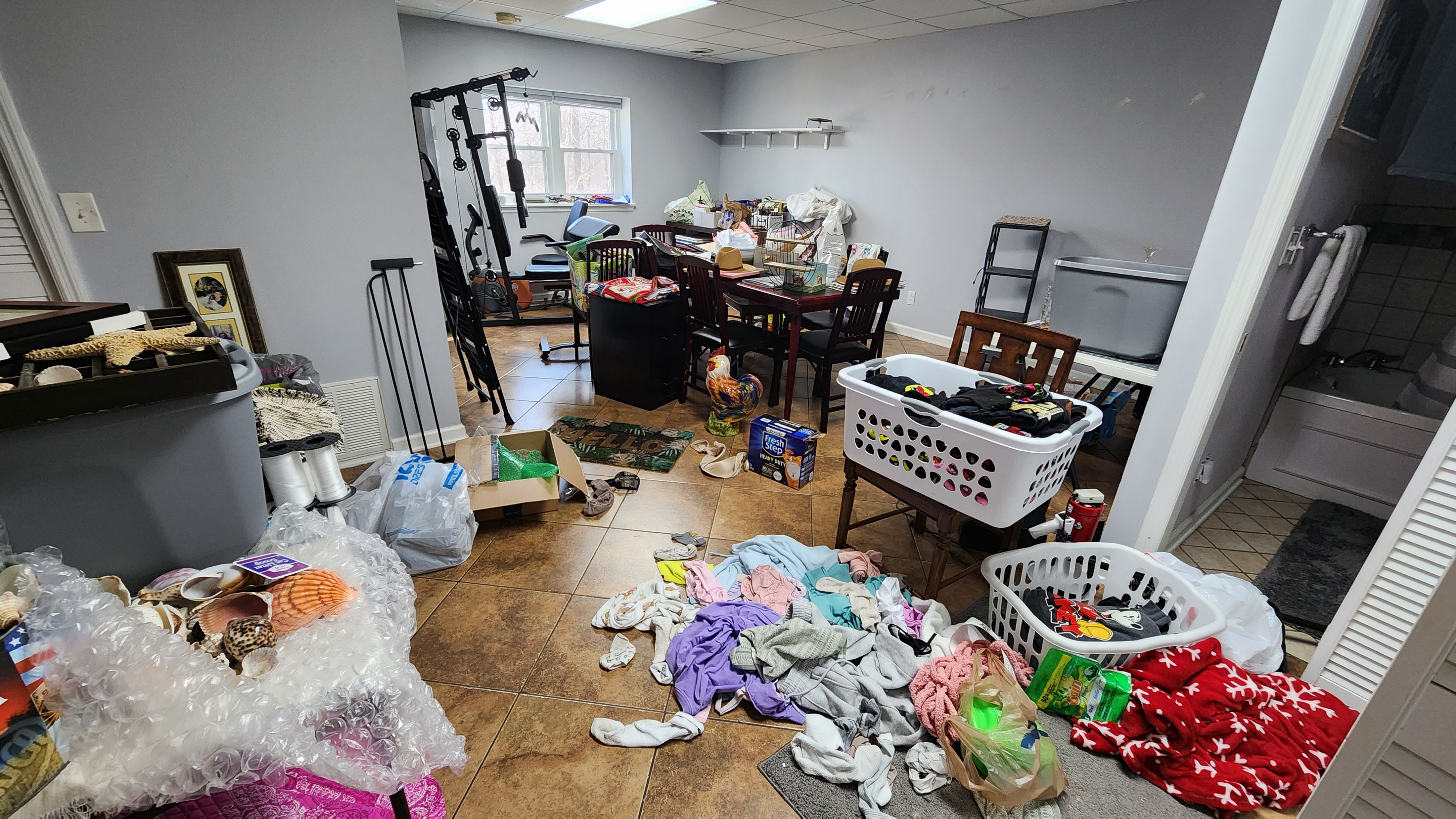 Rooms & Blooms portfolio image 5