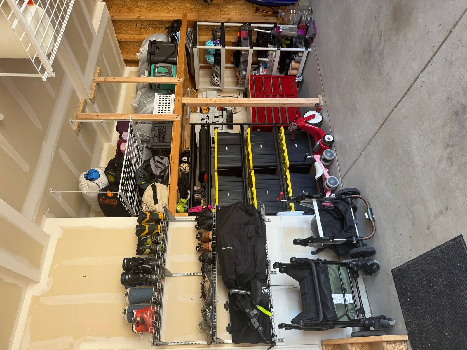 Organizmetry project 1