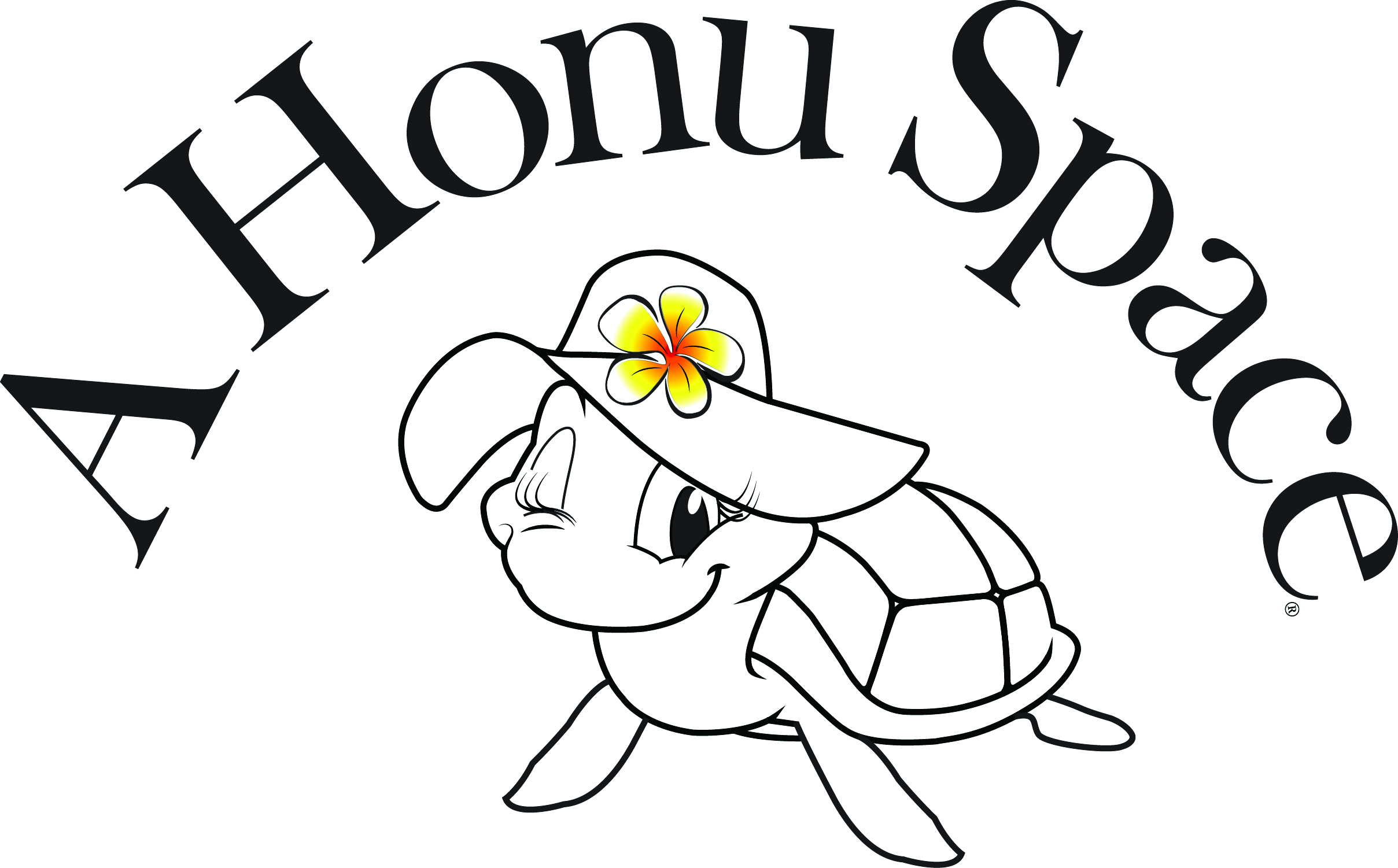 A Honu Space