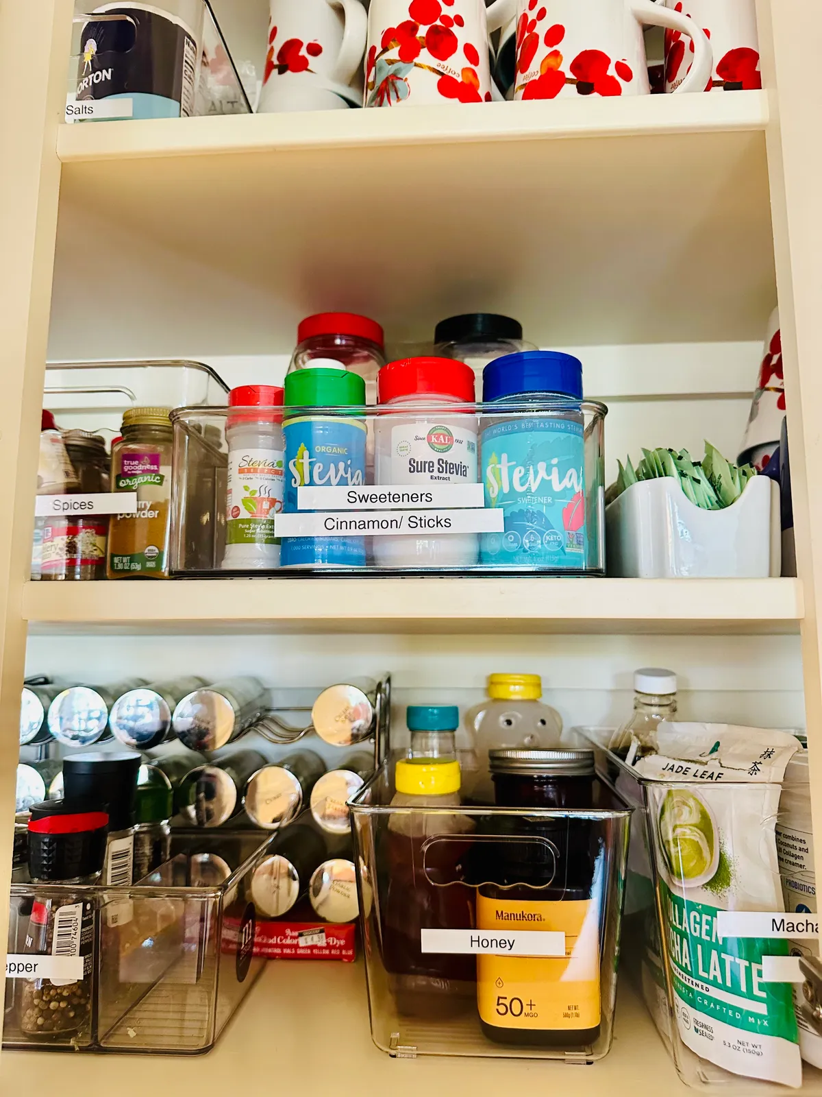 Susie’s Organization Solutions LLC project 5