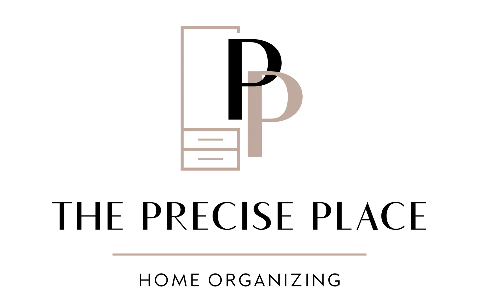 The Precise Place  logo