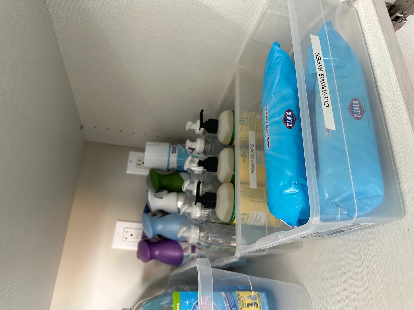 Susie’s Organization Solutions LLC project 4