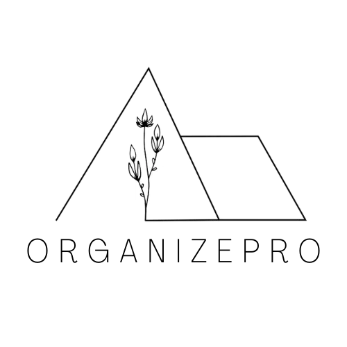 OrganizePro logo