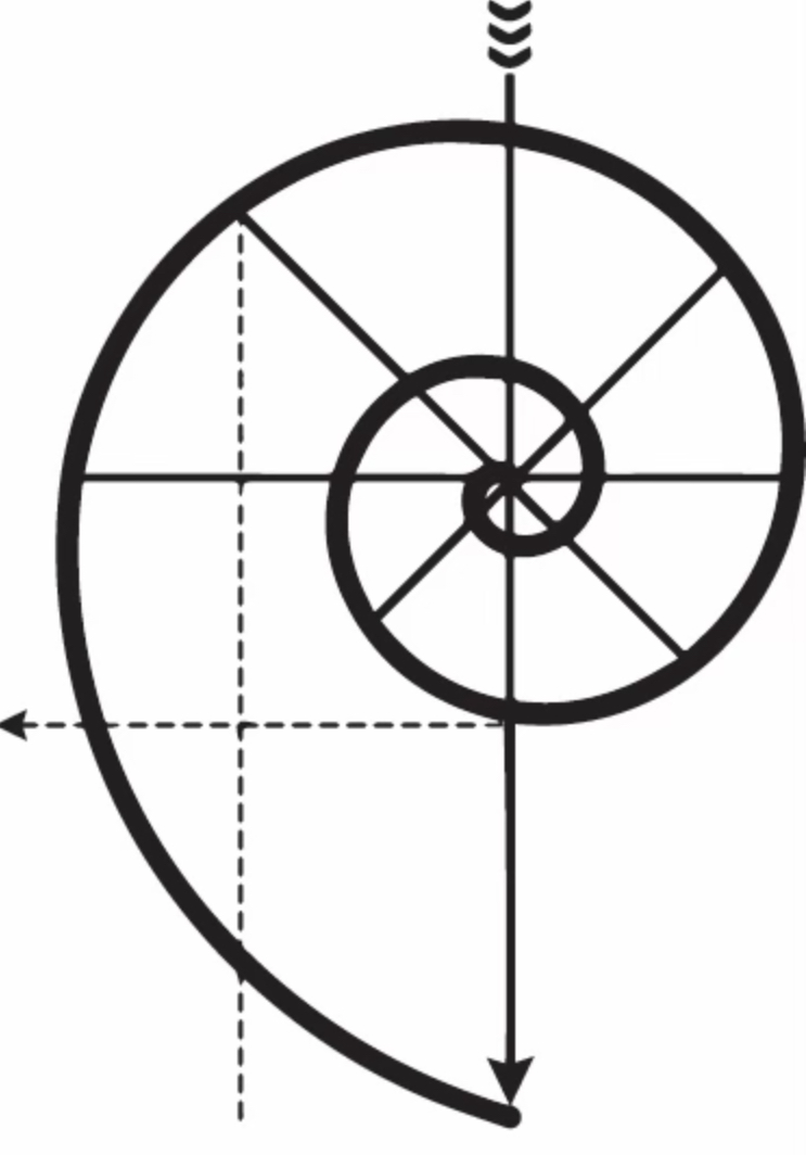 New Foundations Organizing 