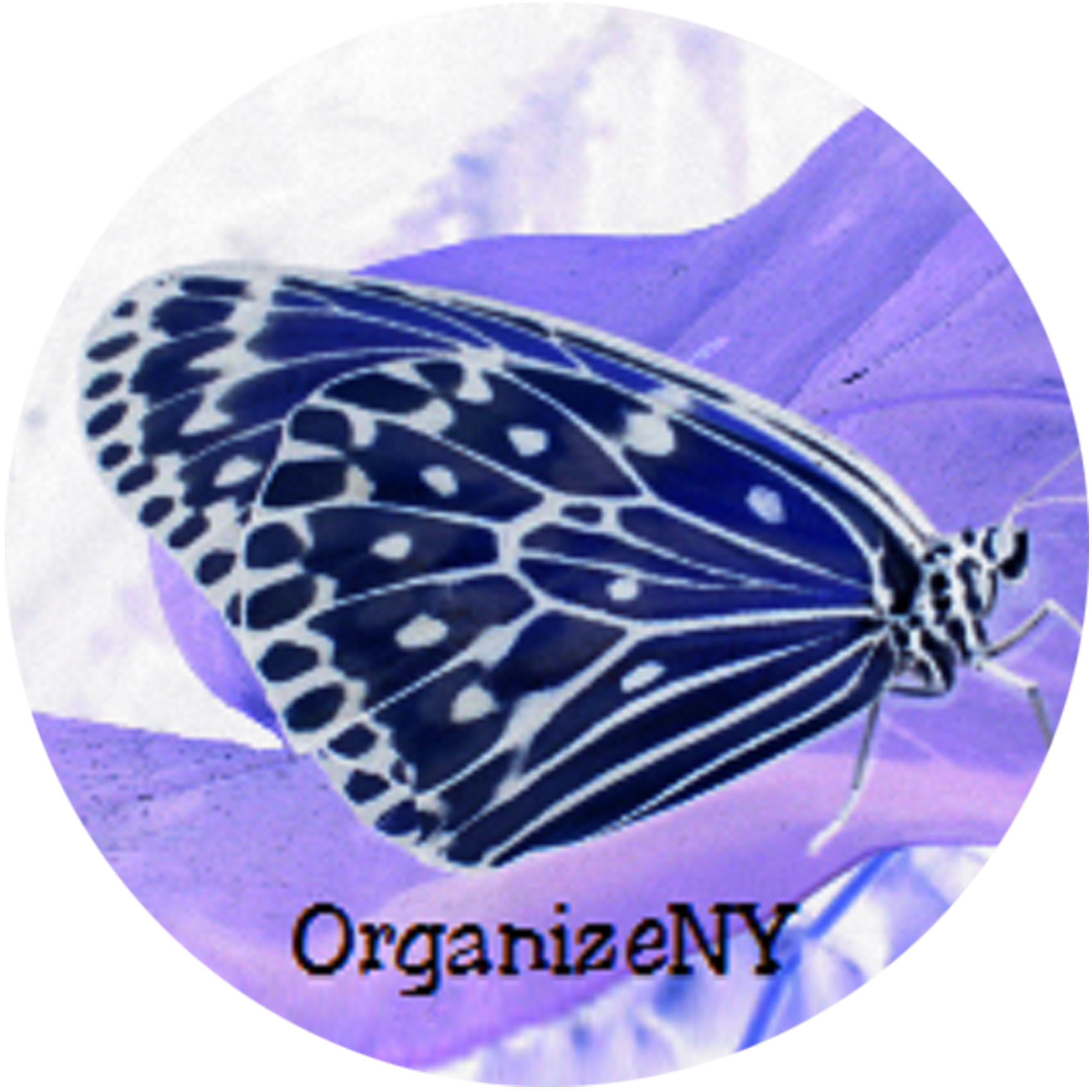 OrganizeNY