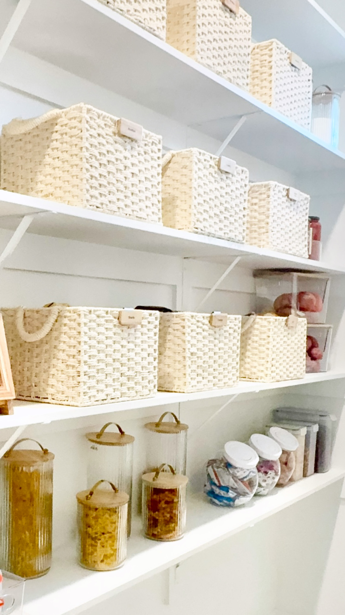 Room to Bloom portfolio image 6